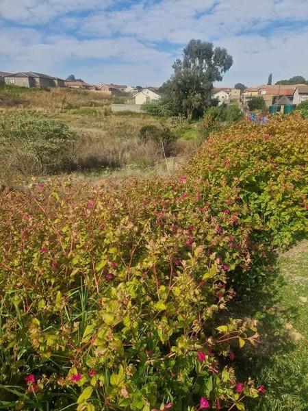 Vacant Land / Plot For Sale in Zakariyya Park, Johannesburg